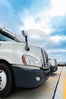 Fleet of white 18 wheeler semi trucks