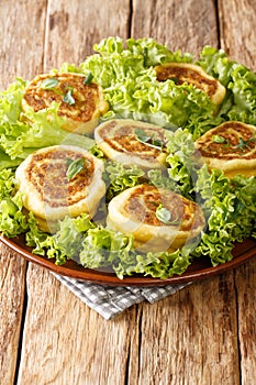 Fleischschnacka snails of meat, this French recipe from the Alsace serve with green salad close-up in a plate. Vertical