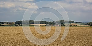 Flemish landscape with farmland and hills with forest