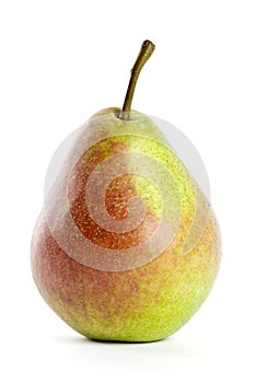Flemish Pear