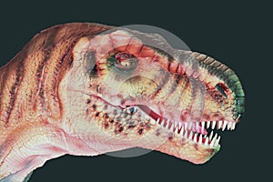 A Flesh Eating Giganotosaurus Dinosaur Against Black