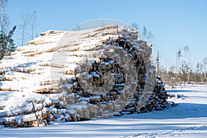 Fleshly cut snow covered logs sitting beside a road ready to be trucked to a mill