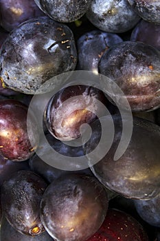Fleshy plums