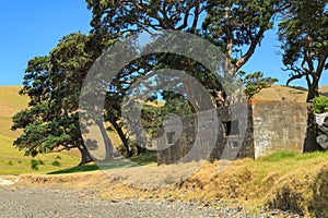 Fletcher Bay on the Coromandel Peninsula, New Zealand. An old WW2 bunker under the trees