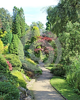 Fletcher Moss Gardens photo