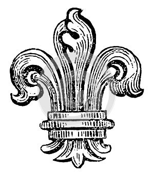 Fleur-de-Lis is the bearing of the Bourbons of France, vintage engraving
