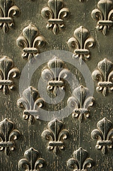 Fleur de Lis Pattern On Door photo