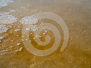 Fleur de Sel in Sea salt fields, salt-pond