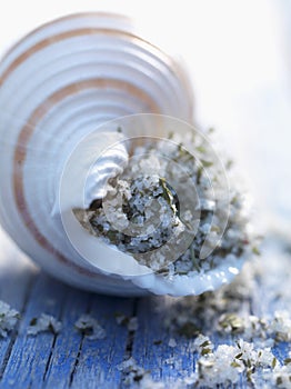 Fleur de sel sea salt in a shell