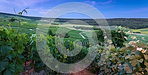 Fleury-la-Rivier, France - Evening Panorama View of the Hillsides of Champagne