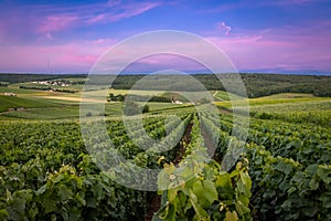 Fleury-la-Rivier, France - Sunset View of the Hillsides of Champagne