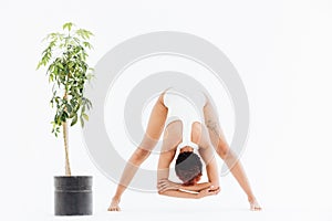 Flexible african american young woman stretching and exercising yoga