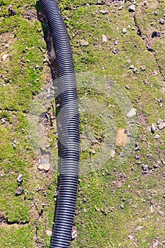 A flexible plastic tube lying on the ground, covered in green mo