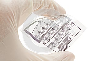 Flexible printed electric circuit
