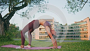 Flexible woman performing bridge pose at sunny park. Slim lady practicing yoga