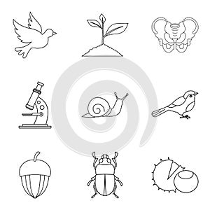 Flier icons set, outline style