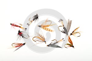 Flies used by fly fishermen