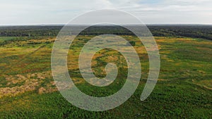 Flight above forest, prairie. Scenery aerial view.