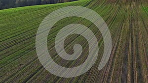 Flight above green hills and fields at sunset, aerial view.