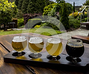 Flight of beer samples presented in a brewery in New Zealand