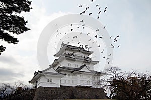 The flight of birds over the temple.