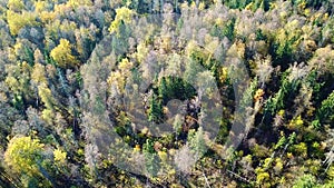 Flight over autumn forest.