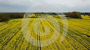 Flight over British countryside with green and yellow fields