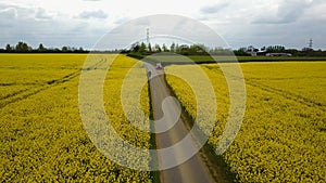 Flight over British countryside with green and yellow fields