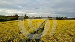 Flight over British countryside with green and yellow fields