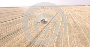 Flight over a field with a combine harvester that collects wheat, view from a drone