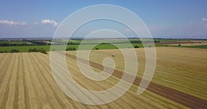 Flight over a field with a combine harvester that collects wheat, view from a drone