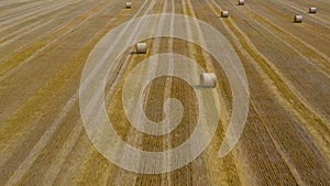 Flight over the field during haymaking. Round haystacks are scattered across the field