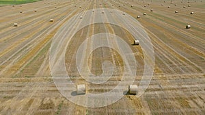 Flight over the field during haymaking. Round haystacks are scattered across the field