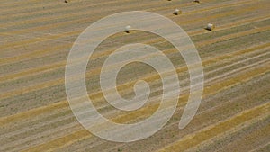 Flight over the field during haymaking. Round haystacks are scattered across the field