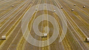 Flight over the field during haymaking. Round haystacks are scattered across the field