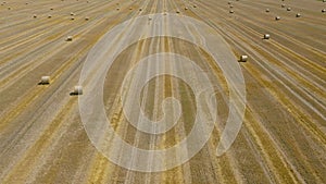 Flight over the field during haymaking. Round haystacks are scattered across the field