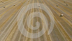 Flight over the field during haymaking. Round haystacks are scattered across the field