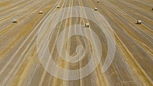 Flight over the field during haymaking. Round haystacks are scattered across the field