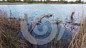 Flight over fishing wooden pier on lake in summer