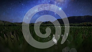 Flight over a grass field and mountain landscape against starry sky