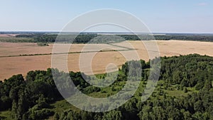 Flight over the green deciduous forest on a sunny summer day, landscape. Farm land near the forest.