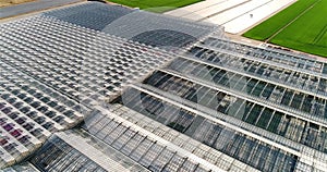 Flight over a large greenhouse. Large modern greenhouse from air. Growing vegetables in greenhouses. greenhouses aerial