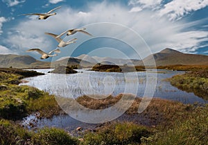 Flight over Rannoch Moor photo