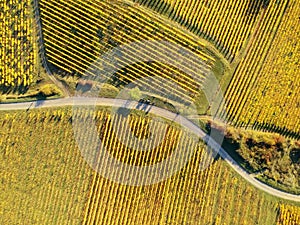 flight over vineyard Alsace France