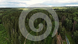 Flight over woods, natural background in motion. Mixed forest, green conifers