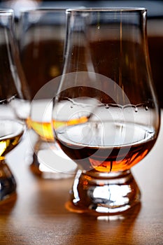 Flight of Scottish whisky, tasting glasses with variety of single malts or blended whiskey spirits on distillery tour in Scotland