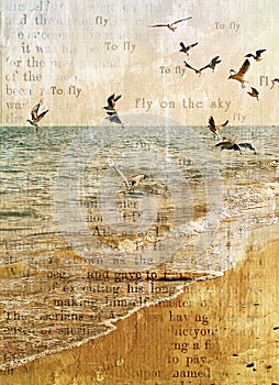 Flight of seagulls over the sea.