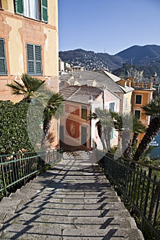 Flight of steps - Camogli