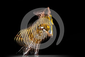 Flight. Young caucasian basketball player in motion and action isolated on dark background with stroboscope effect