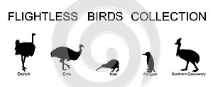 Flightless birds collection vector silhouette illustration isolated on white background. Ostrich, emu, kiwi, penguin and cassowary